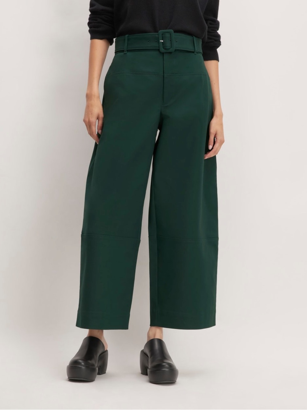Everlane The Structured Cotton Belted Pant Size 14 Scarab High Rise Wide Leg